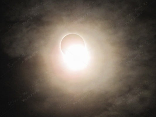 Solar Eclipse in Gallery